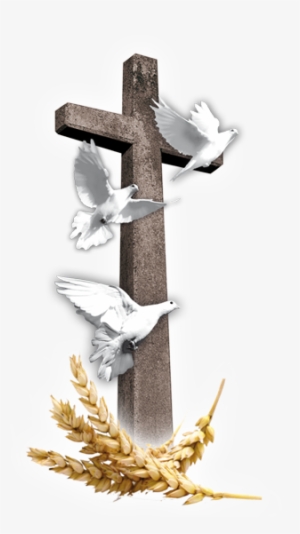 Ic13 Cruz Palomas Espiga - Prospector Co. Hanging Rock Creek Fougere Water