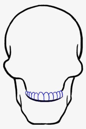 How To A Skull Step By Tutorial - Drawing