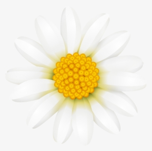 Daisy Flower Crown Transparent Download