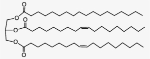 File - Sheabutter - Shea Butter Chemical Structure