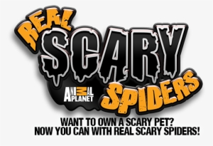 Masterpieces Animal Planet Puzzle (4 Pack)