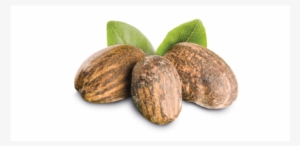 Nestiva Green - Veet Wax Strip Kit For Legs & Body, 40 Strips,