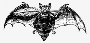 Every Year Young Colorado Writers From Kindergarten - Illustration