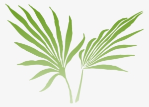 Of The Lush Rainforest And Offers Stunning Views From - Palm Frond Clip Art