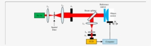 Newton's Ring Experimental Setup - Diagram