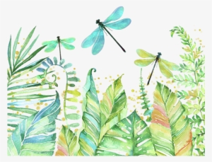 Click And Drag To Re-position The Image, If Desired