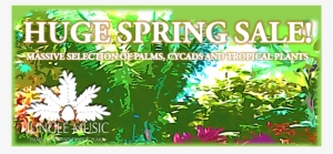Banner Spring Sale - Sales