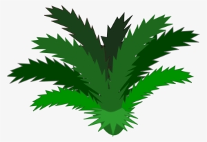 Jungle Plant Clip Art Clipart Free Download - Cycad Clipart