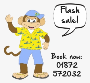 Funky Monkey Flash Sale Reductions Summer July - Adictiz Box