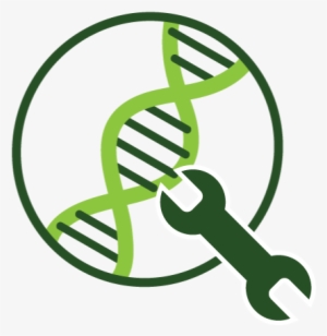 Genetic Engineering Transparent