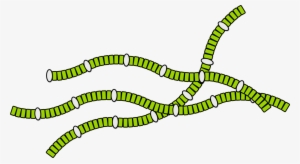 So, It Is Possible To Produce Complex Molecules, Such - Illustration