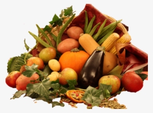 2014 Big Garden Harvest Report Shows Impact