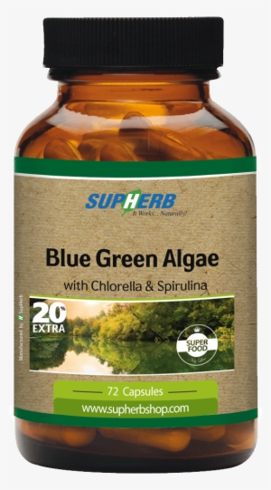 Blue Green Algae - Supherb Blue Green Algae With Chlorella And Spirulina