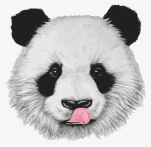 Www - Bamboolovers - Com - Realistic Baby Panda Drawings