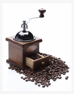 Fresh And Simple Creative Coffee Bean Png - American Tack 514w 5pk White Ceiling Hook