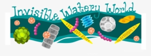 Invisible Watery World Subheader - Phytoplankton Logo