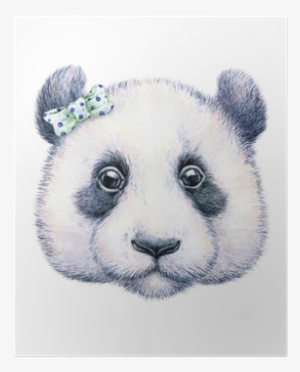 Póster Panda On White Background - Art Print: Margaritash's Water Color Drawing