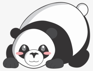 Giant Panda Red Panda Bear Drawing Cuteness - รูป หมี แพนด้า การ์ตูน