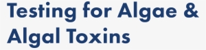 Testing For Algae And Algal Toxins - Algae