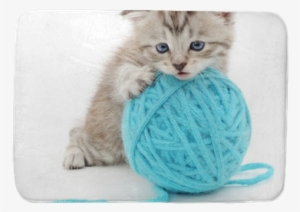 Gatto Con Gomitolo