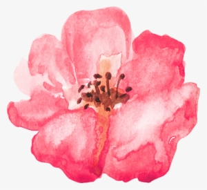 Thanks For Visiting My Page - Prickly Rose