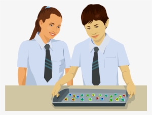 Scientific Models And Theories - Scientific Models