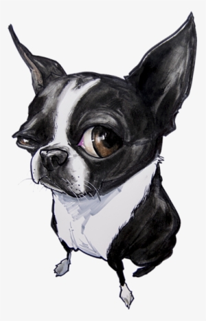 Bleed Area May Not Be Visible - Boston Terrier Drawing