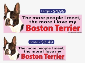 The More I Love My Boston Terrier - Dog