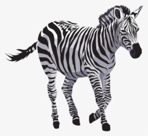 Free Png Zebra Png Images Transparent - Jk Max A4 Paper