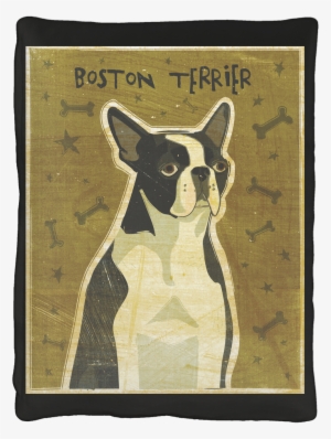 Stretched Canvas Print: Golden's Boston Terrier, 20x20in.