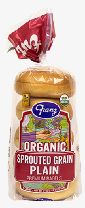 Organic Sprouted Grain Plain Bagels - Bagel