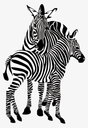 Zebra Png Image - Zebra Png