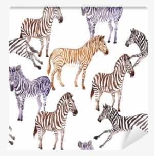 Exotic Zebra Wild Animal Pattern In A Watercolor Style - Watercolor Painting
