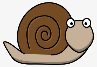 Snail - Snail Clipart