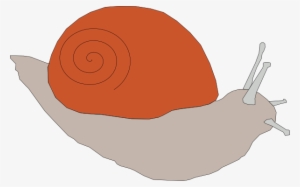 Free Vector Snail Clip Art - Clip Art
