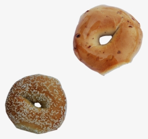 Gourmet Bagels, Baked From Scratch In Each Shop - Big Daddy Bagels