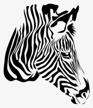 Zebra Png Download Image - Zebra Free Vector