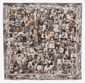 Dog Print Square - Visual Arts