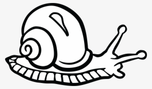 Snail Drawing Png - Snail Clip Art