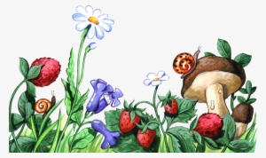 Publicat De Eu Ciresica La - Ягоды И Грибы Рисунки