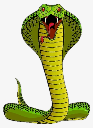 Report Abuse - Cobra Clipart