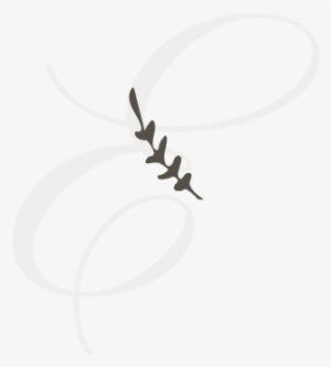 Engagement - Portable Network Graphics