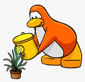 Water Pot Snake Grass Cover - Water