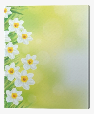 Vector Daffodil Flowers Frame - Daffodil