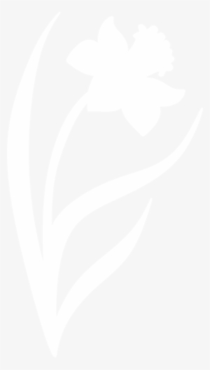 By Paperlightbox On Deviantart - Daffodil Silhouette