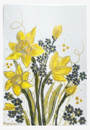 Daffodils - Narcissus