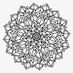 Download - Disegni Da Colorare Per Adulti