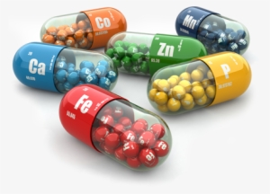 Vitamins Jenny S Your - Complete Neet Guide: Chemistry - New Paperback Book