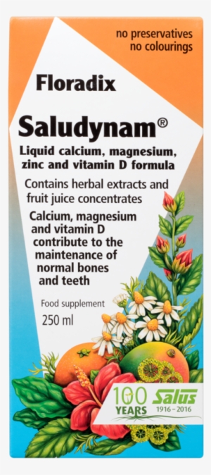 Salus Haus Floradix Saludynam®, Liquid Calcium, Magnesium, - Floradix Saludynam Liquid Calcium Mag Zinc And Vitamin