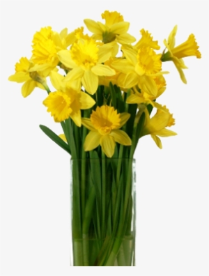 Daffodil Flower Png Photo - Yellow Flower Vase Png